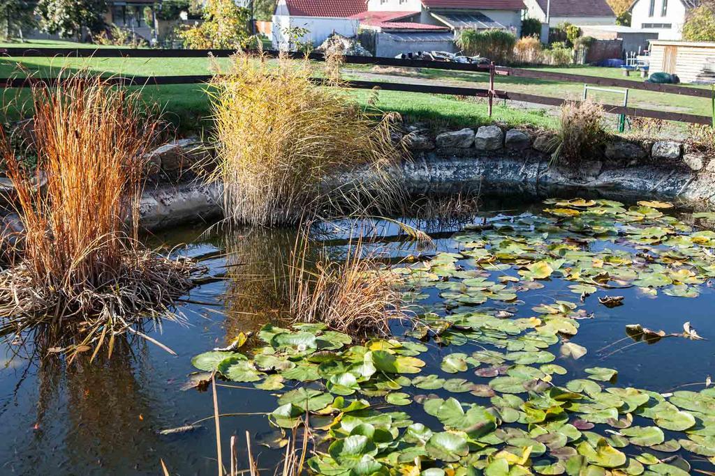 Agropenzion U Bartousku Malíkovice Dış mekan fotoğraf